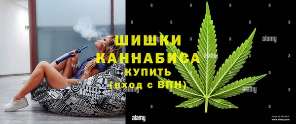 apvp Козельск