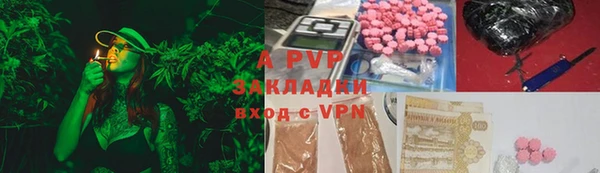 apvp Козельск