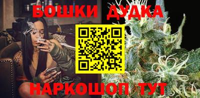 МДПВ Будённовск